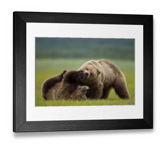 Framed Print : USA, North America, Alaska Framed Print : USA, North America, Alaska