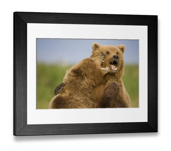 Framed Print : USA, North America, Alaska Framed Print : USA, North America, Alaska