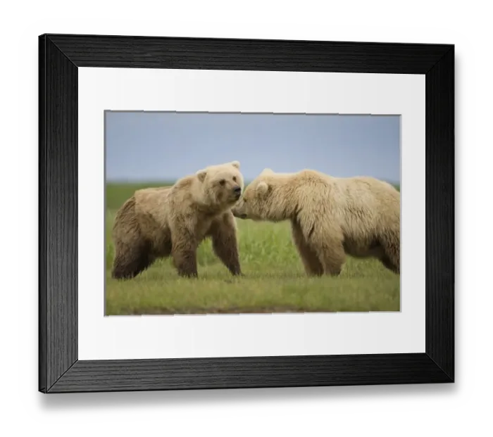 Framed Print : USA, North America, Alaska Framed Print : USA, North America, Alaska