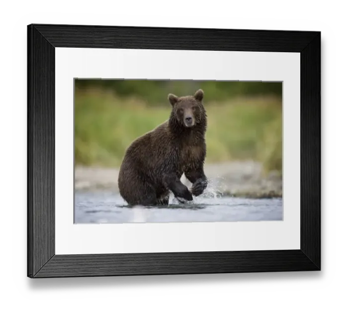 Framed Print : USA, North America, Alaska Framed Print : USA, North America, Alaska