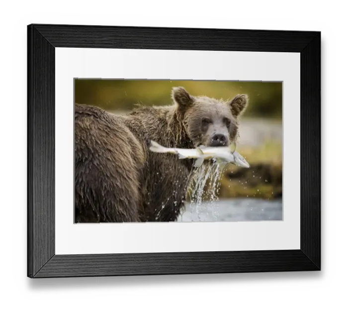Framed Print : USA, North America, Alaska Framed Print : USA, North America, Alaska