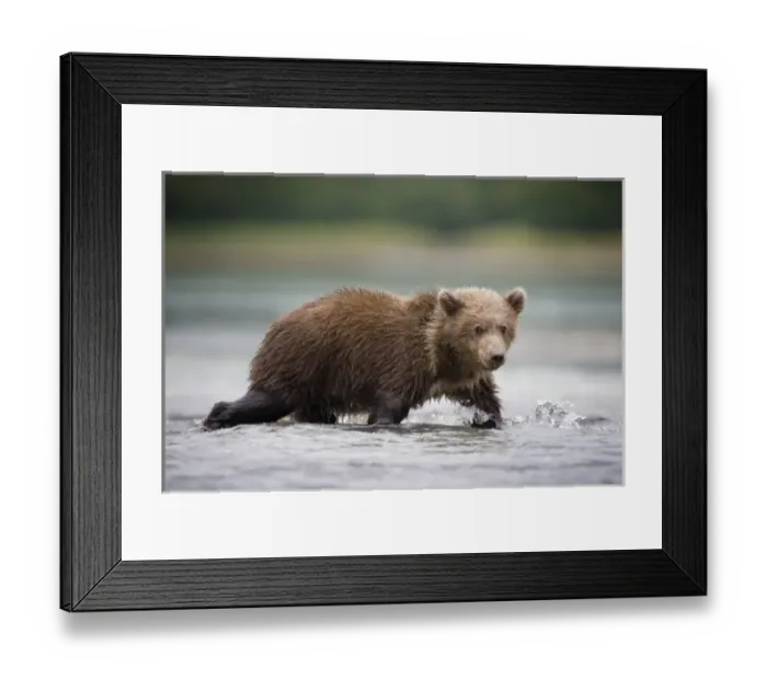 Framed Print : USA, North America, Alaska Framed Print : USA, North America, Alaska