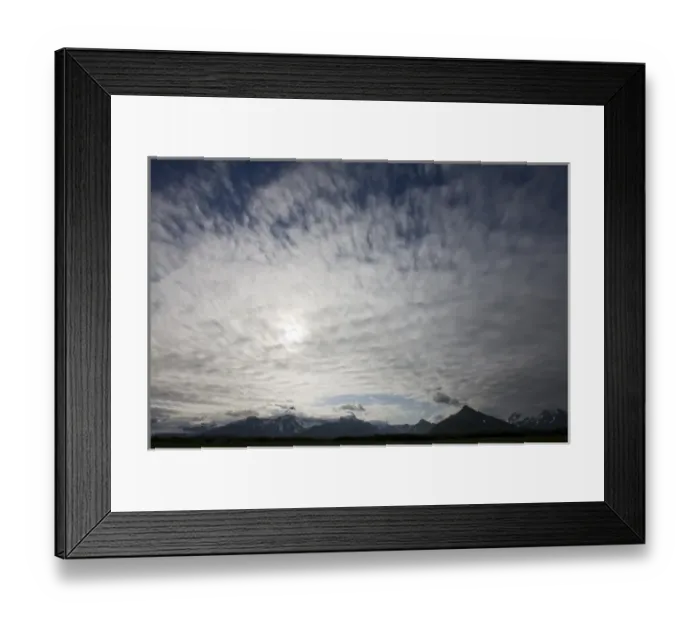 Framed Print : USA, Alaska, Katmai National Park, Hallo Bay, Grizzly Bear (Ursus arctos)