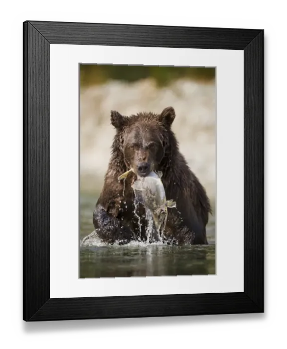 Framed Print : USA, North America, Alaska Framed Print : USA, North America, Alaska