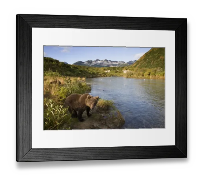 Framed Print : USA, North America, Alaska Framed Print : USA, North America, Alaska