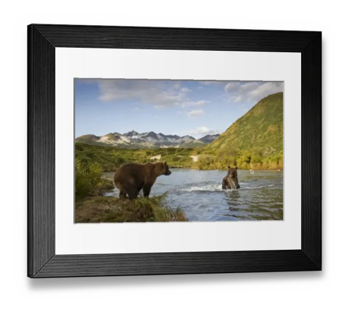 Framed Print : USA, North America, Alaska Framed Print : USA, North America, Alaska