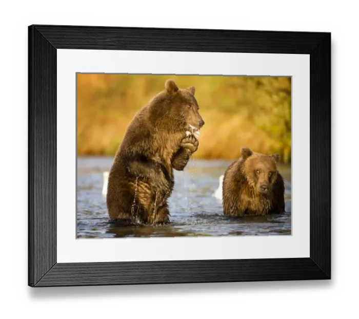 Framed Print : USA, North America, Alaska