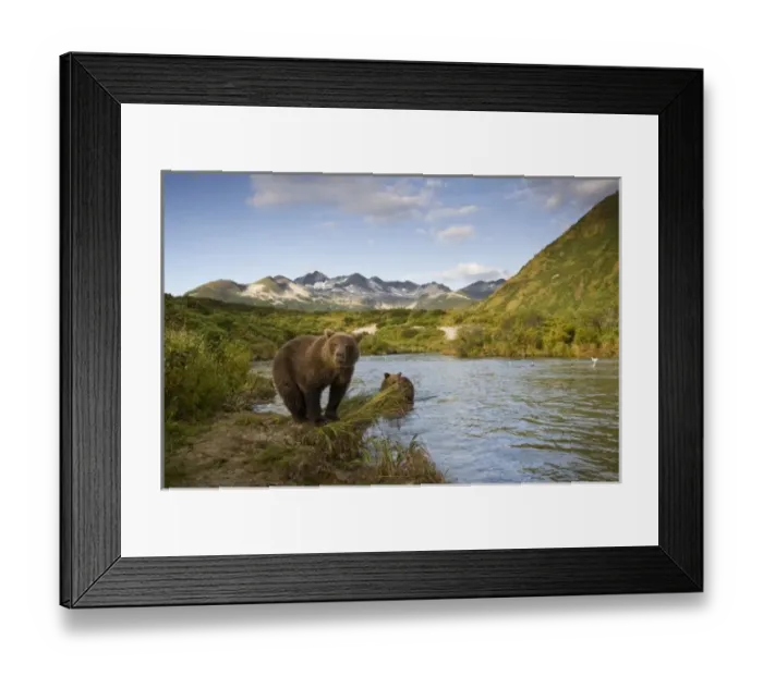Framed Print : USA, North America, Alaska Framed Print : USA, North America, Alaska