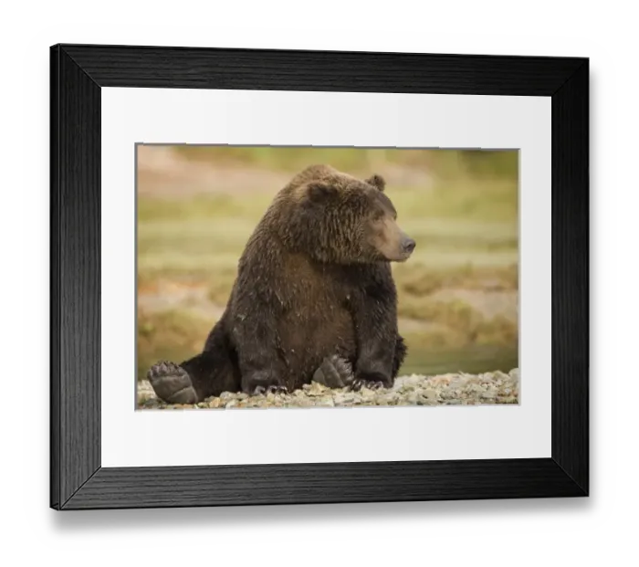 Framed Print : USA, North America, Alaska