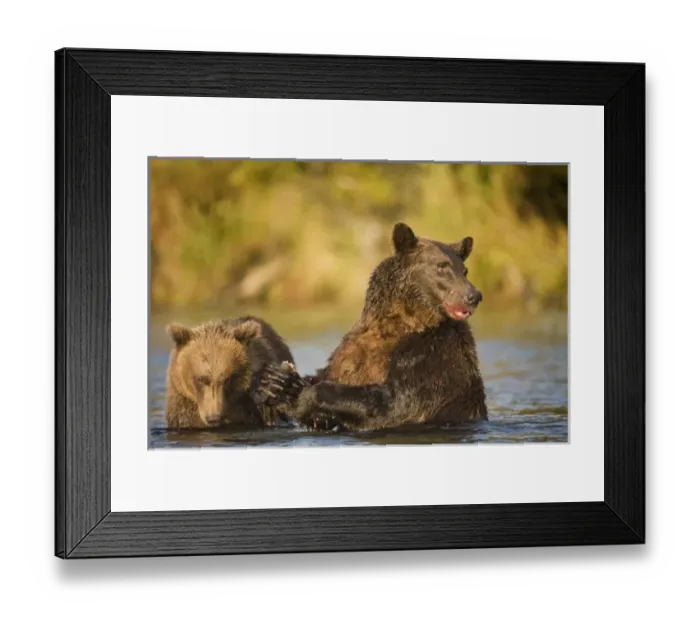 Framed Print : USA, North America, Alaska