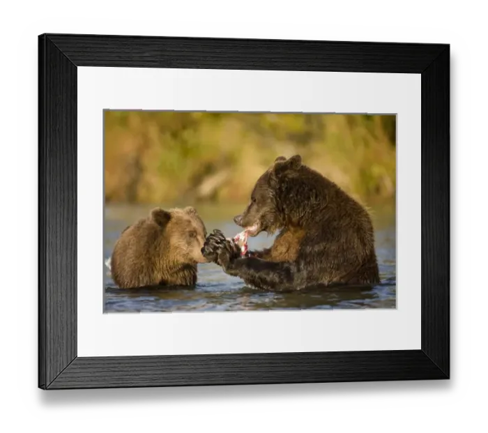 Framed Print : USA, North America, Alaska Framed Print : USA, North America, Alaska