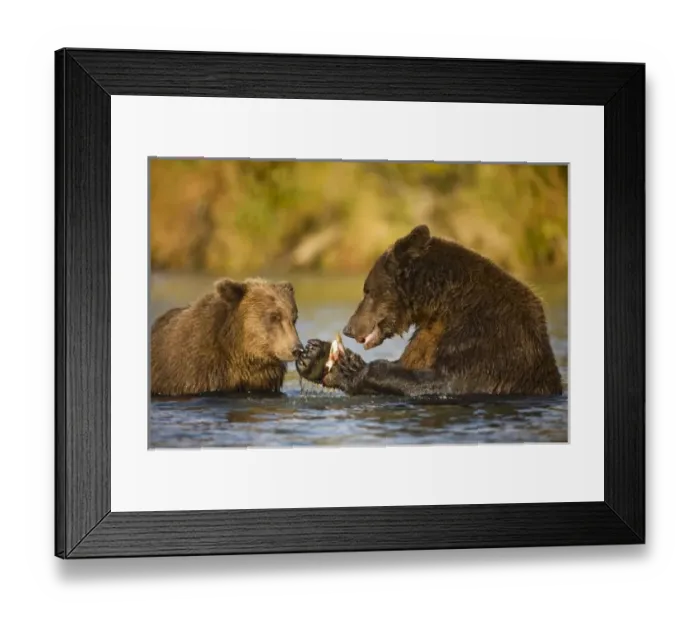 Framed Print : USA, North America, Alaska Framed Print : USA, North America, Alaska