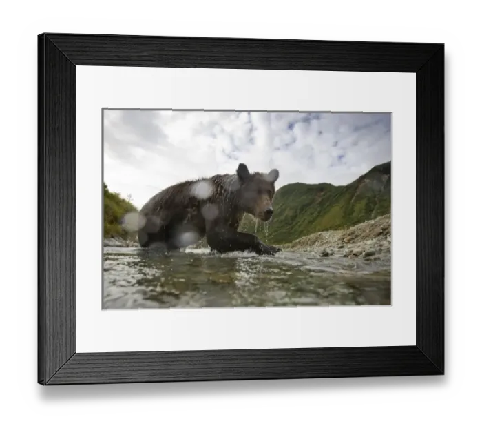 Framed Print : USA, North America, Alaska Framed Print : USA, North America, Alaska