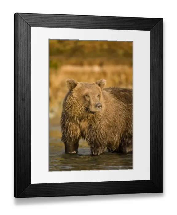 Framed Print : USA, North America, Alaska