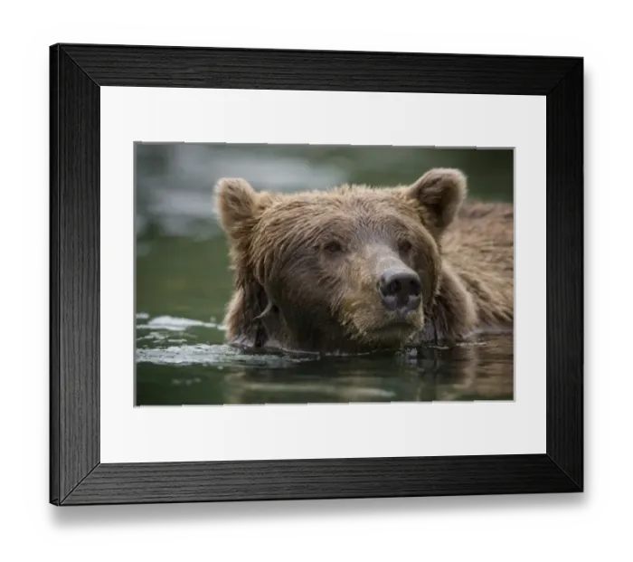 Framed Print : USA, North America, Alaska Framed Print : USA, North America, Alaska