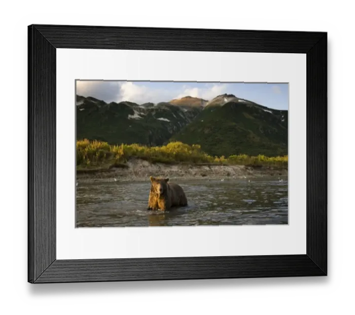 Framed Print : USA, North America, Alaska Framed Print : USA, North America, Alaska