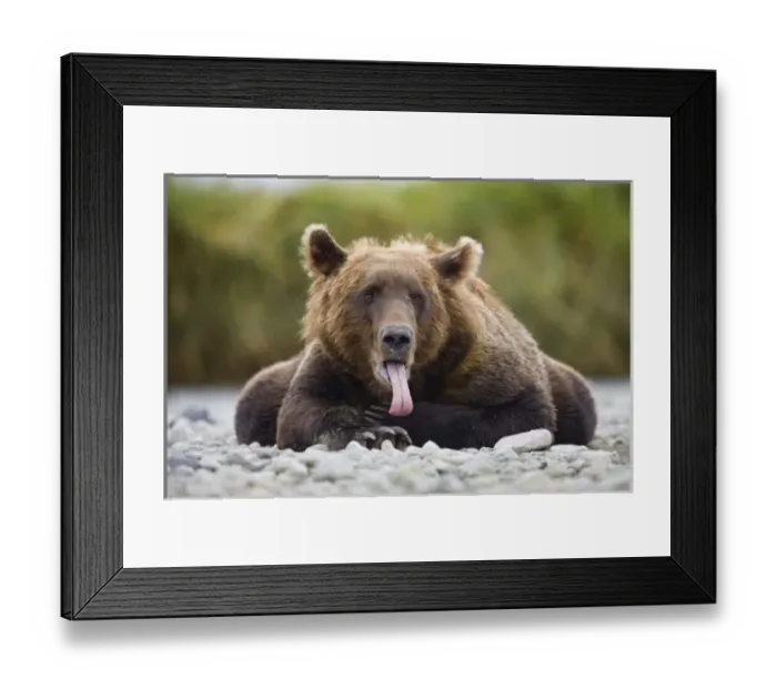 Framed Print : USA, North America, Alaska