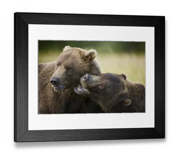 Framed Print : USA, North America, Alaska Framed Print : USA, North America, Alaska