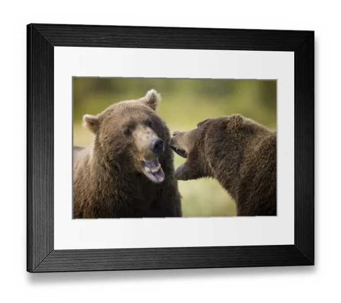 Framed Print : USA, North America, Alaska