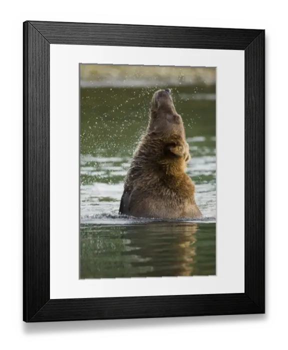 Framed Print : USA, North America, Alaska