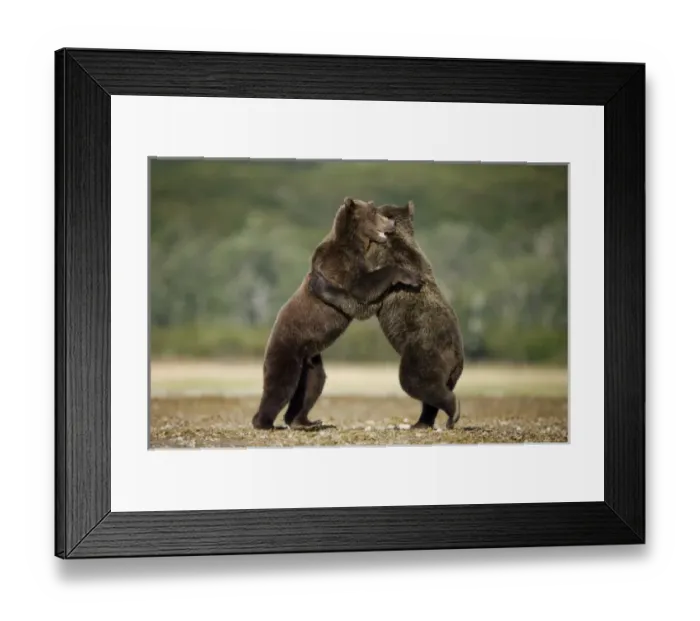 Framed Print : USA, North America, Alaska