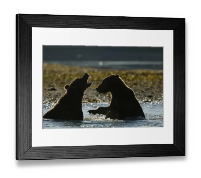 Framed Print : USA, North America, Alaska