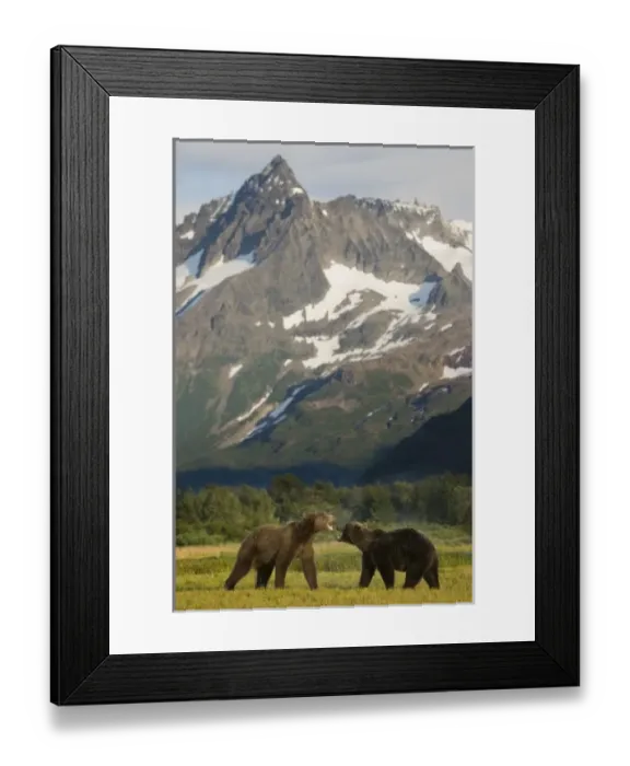 Framed Print : USA, North America, Alaska Framed Print : USA, North America, Alaska