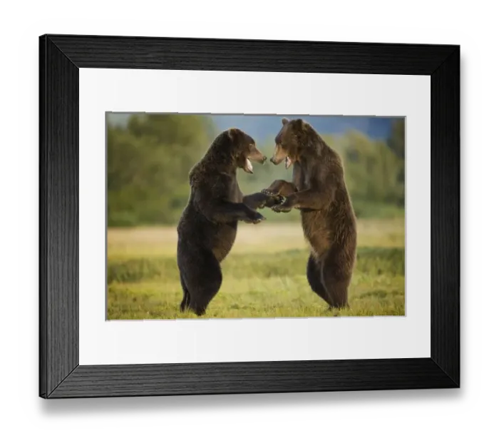 Framed Print : USA, North America, Alaska Framed Print : USA, North America, Alaska