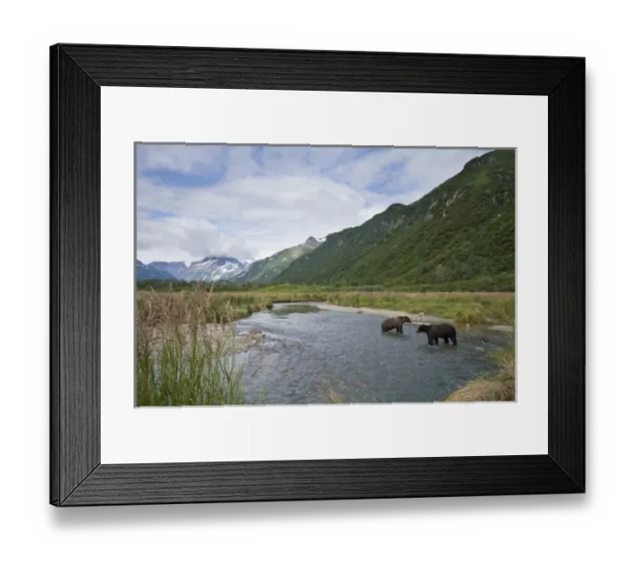 Framed Print : USA, North America, Alaska Framed Print : USA, North America, Alaska