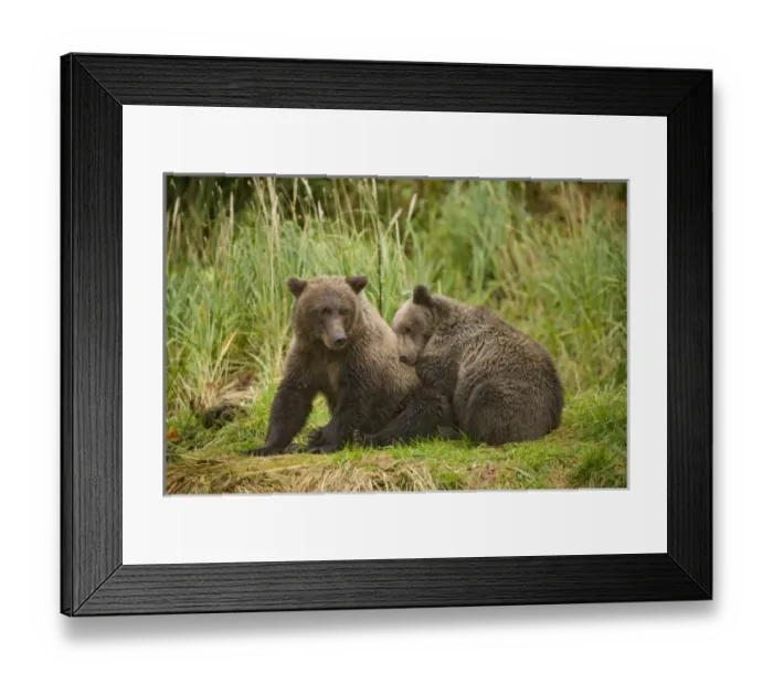 Framed Print : USA, North America, Alaska