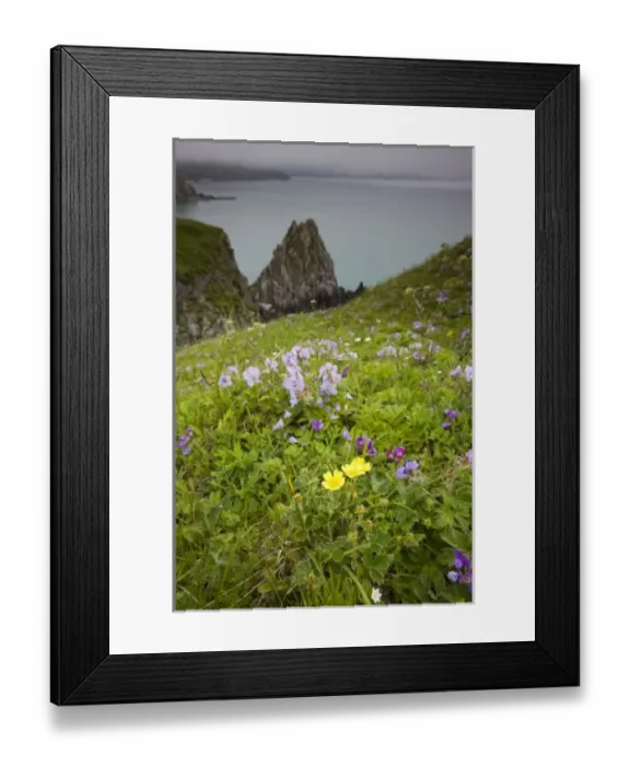 Framed Print : USA, North America, Alaska