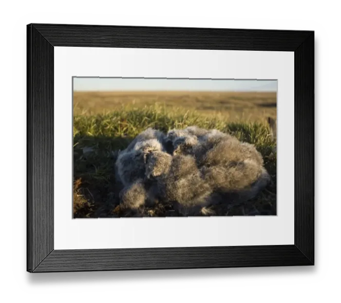 Framed Print : USA, North America, Alaska Framed Print : USA, North America, Alaska