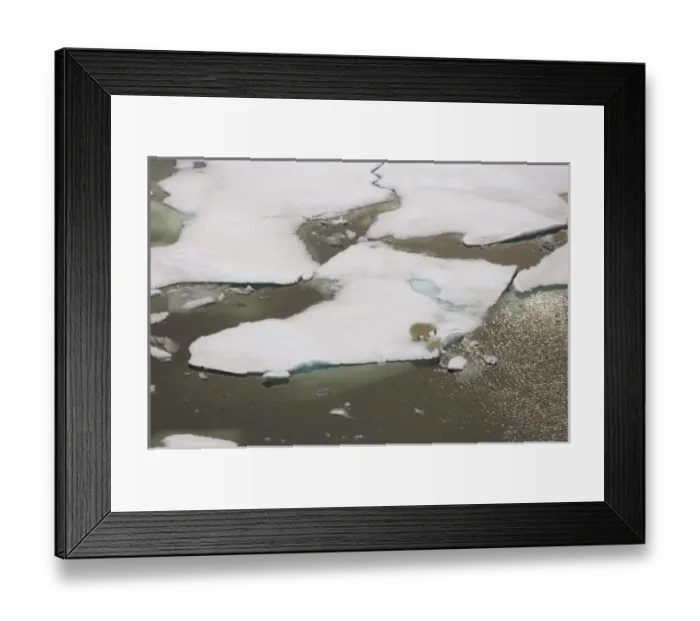Framed Print : USA, North America, Alaska