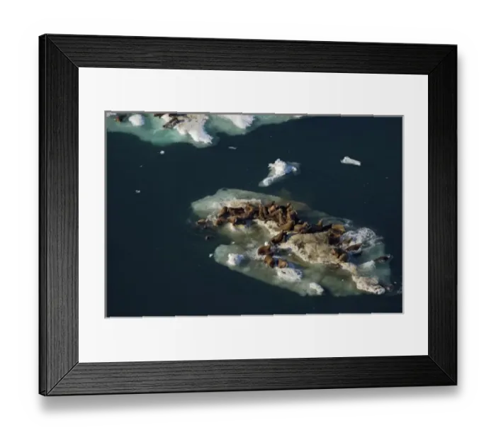Framed Print : USA, North America, Alaska