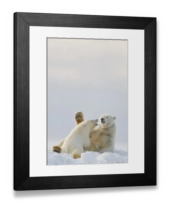 Framed Print : USA, North America, Alaska