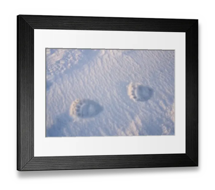 Framed Print : USA, Alaska, 1002 Coastal Plain of the Arctic National Wildlife Refuge. Footprints Framed Print : USA, Alaska, 1002 Coastal Plain of the Arctic National Wildlife Refuge. Footprints