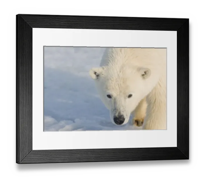 Framed Print : USA, North America, Alaska Framed Print : USA, North America, Alaska