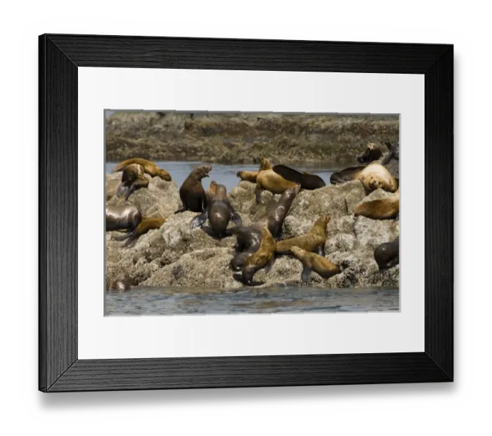 Framed Print : USA, North America, Alaska Framed Print : USA, North America, Alaska