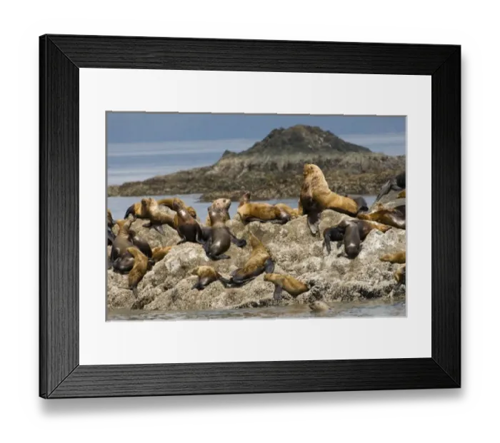 Framed Print : USA, North America, Alaska Framed Print : USA, North America, Alaska