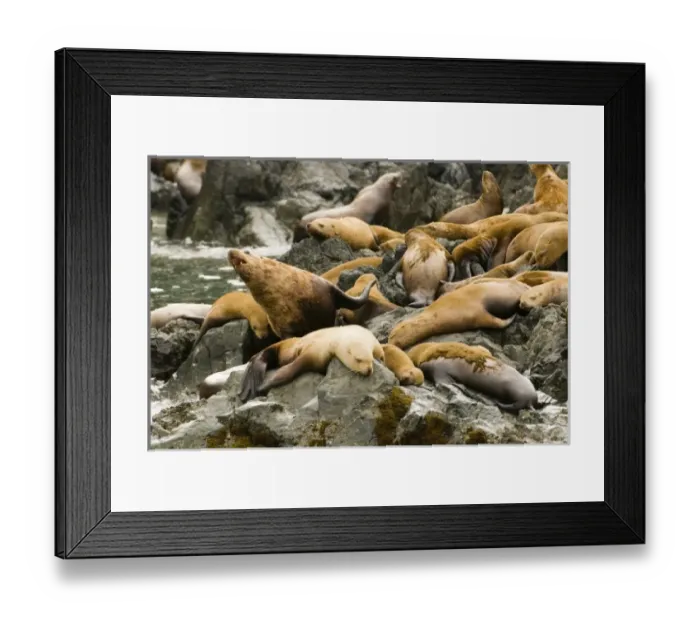 Framed Print : USA, North America, Alaska Framed Print : USA, North America, Alaska
