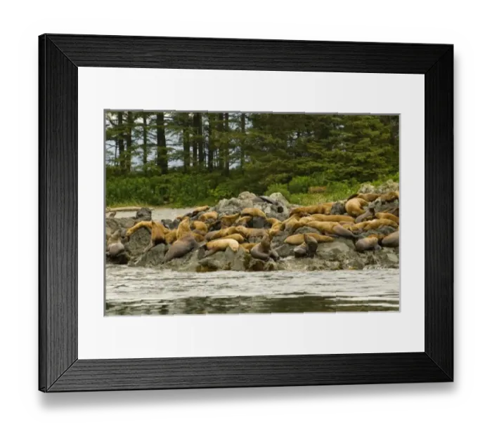 Framed Print : USA, North America, Alaska Framed Print : USA, North America, Alaska