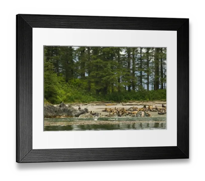Framed Print : USA, North America, Alaska Framed Print : USA, North America, Alaska