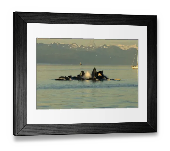 Framed Print : USA, North America, Alaska Framed Print : USA, North America, Alaska
