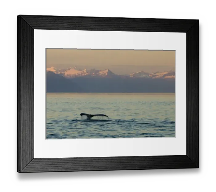 Framed Print : USA, North America, Alaska Framed Print : USA, North America, Alaska