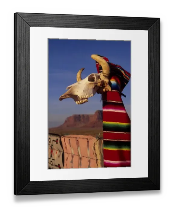 Framed Print : Arizona: Monument Valley, Window Rock, Gouldings Trading Post, animal skull Framed Print : Arizona: Monument Valley, Window Rock, Gouldings Trading Post, animal skull