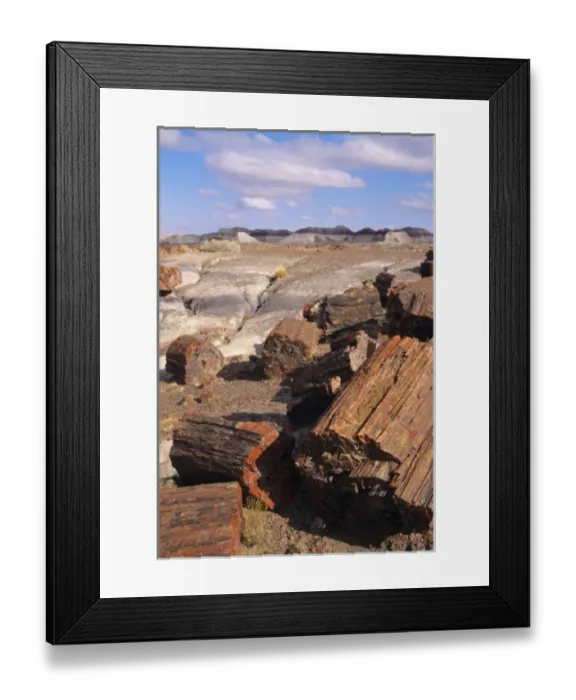 Framed Print : AZ: Petrified Forest National Park, Agate Bridge, close view of petrified segments