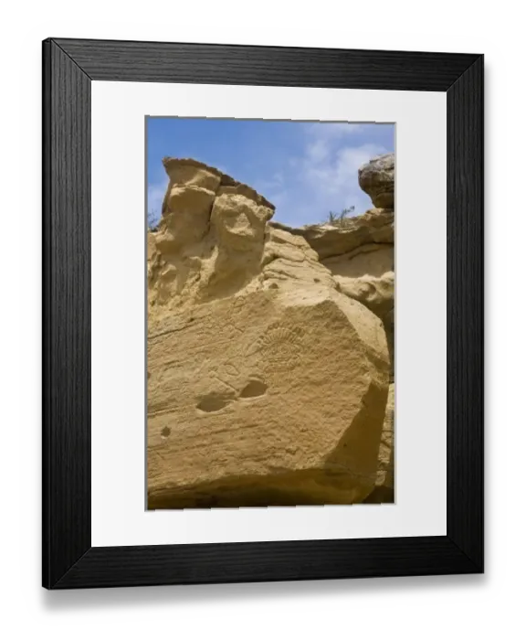 Framed Print : USA, North America, Arizona Framed Print : USA, North America, Arizona
