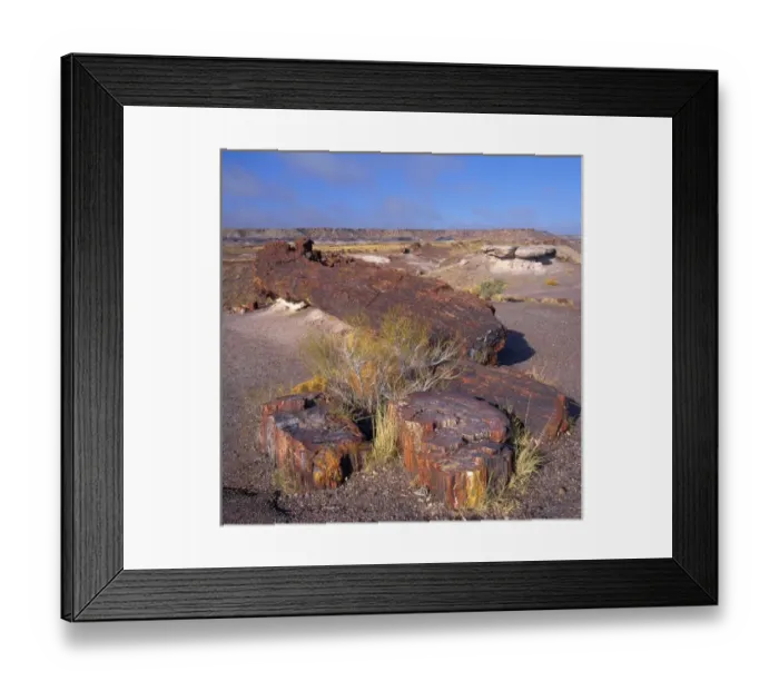 Framed Print : North America, USA, Arizona, Petrified Forest National Park and Painted Desert, Petrified Framed Print : North America, USA, Arizona, Petrified Forest National Park and Painted Desert, Petrified