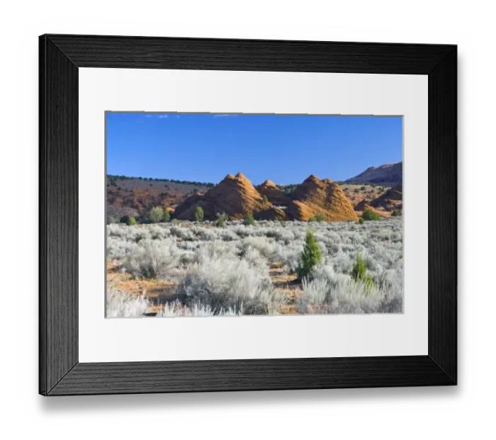 Framed Print : USA, Arizona, North Coyote Buttes, Vermillion Cliffs Wilderness, BLM Lands, Unique Framed Print : USA, Arizona, North Coyote Buttes, Vermillion Cliffs Wilderness, BLM Lands, Unique