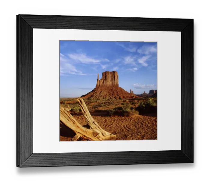 Framed Print : USA, Arizona and Utah, Mitten Butte and Bleached wood, Monument Valley, Navajo Tribal Framed Print : USA, Arizona and Utah, Mitten Butte and Bleached wood, Monument Valley, Navajo Tribal